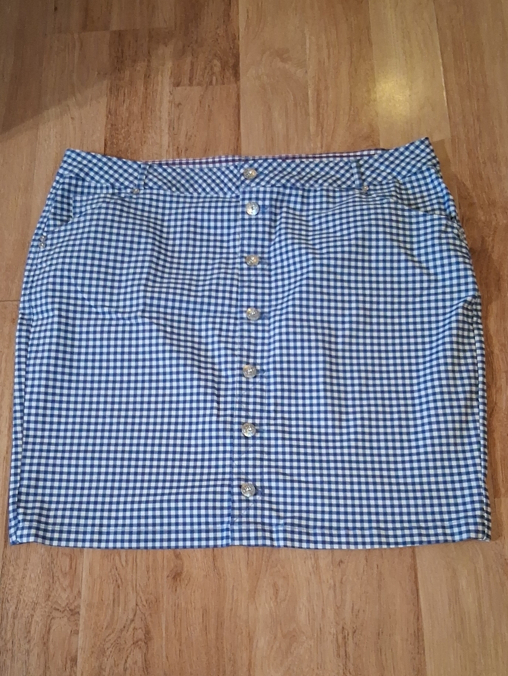 Blue Gingham Button-Front Mini Skirt
